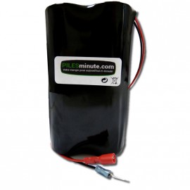 CHRONO Pile Batterie Alarme Compatible SES - 12V - 18Ah + Connecteur